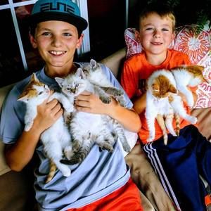 Meet your Posher, Kirby